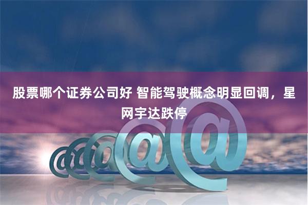 股票哪个证券公司好 智能驾驶概念明显回调，星网宇达跌停