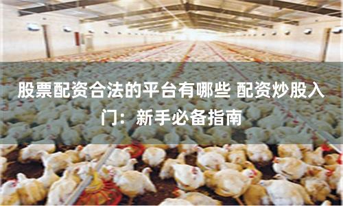 股票配资合法的平台有哪些 配资炒股入门：新手必备指南