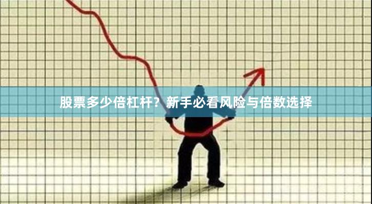 股票多少倍杠杆？新手必看风险与倍数选择