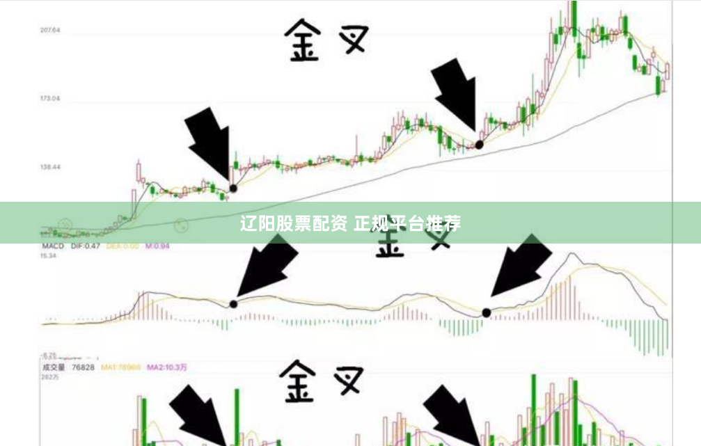辽阳股票配资 正规平台推荐